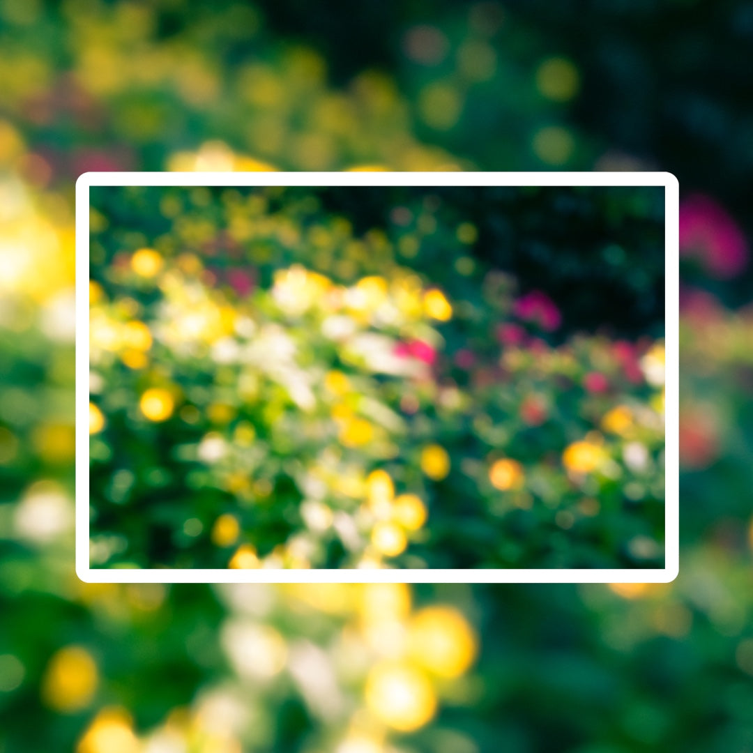 Tirage - Printemps