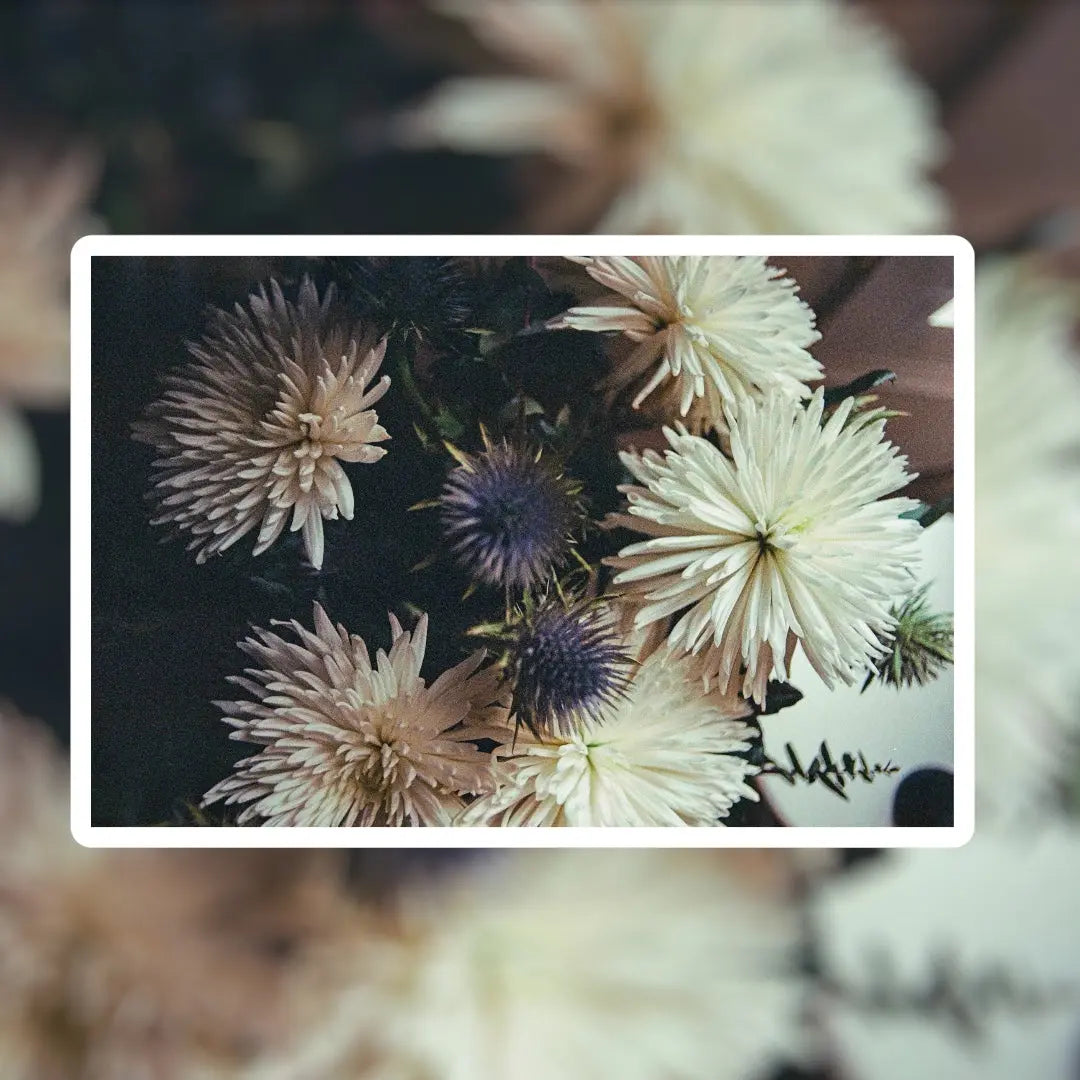 Tirage - Nostalgie {{Product vendor}}